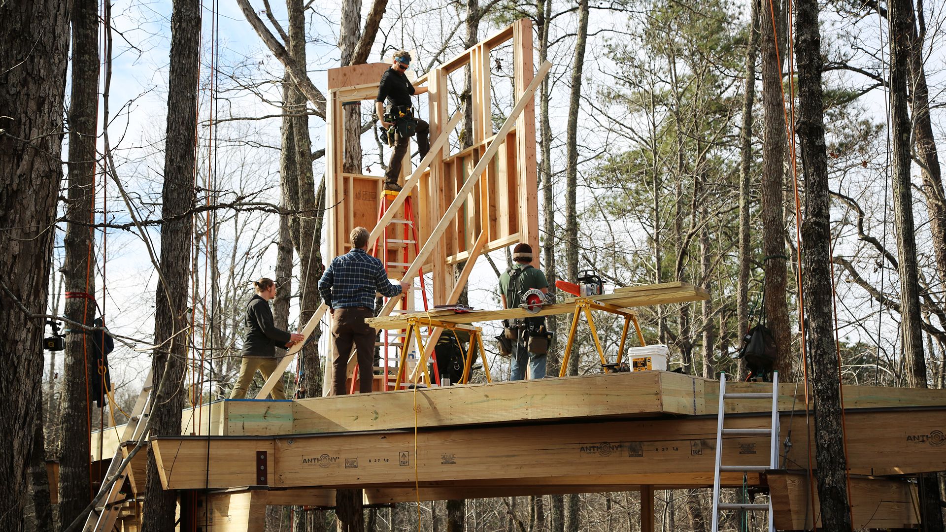 Baumhaus der Zukunft