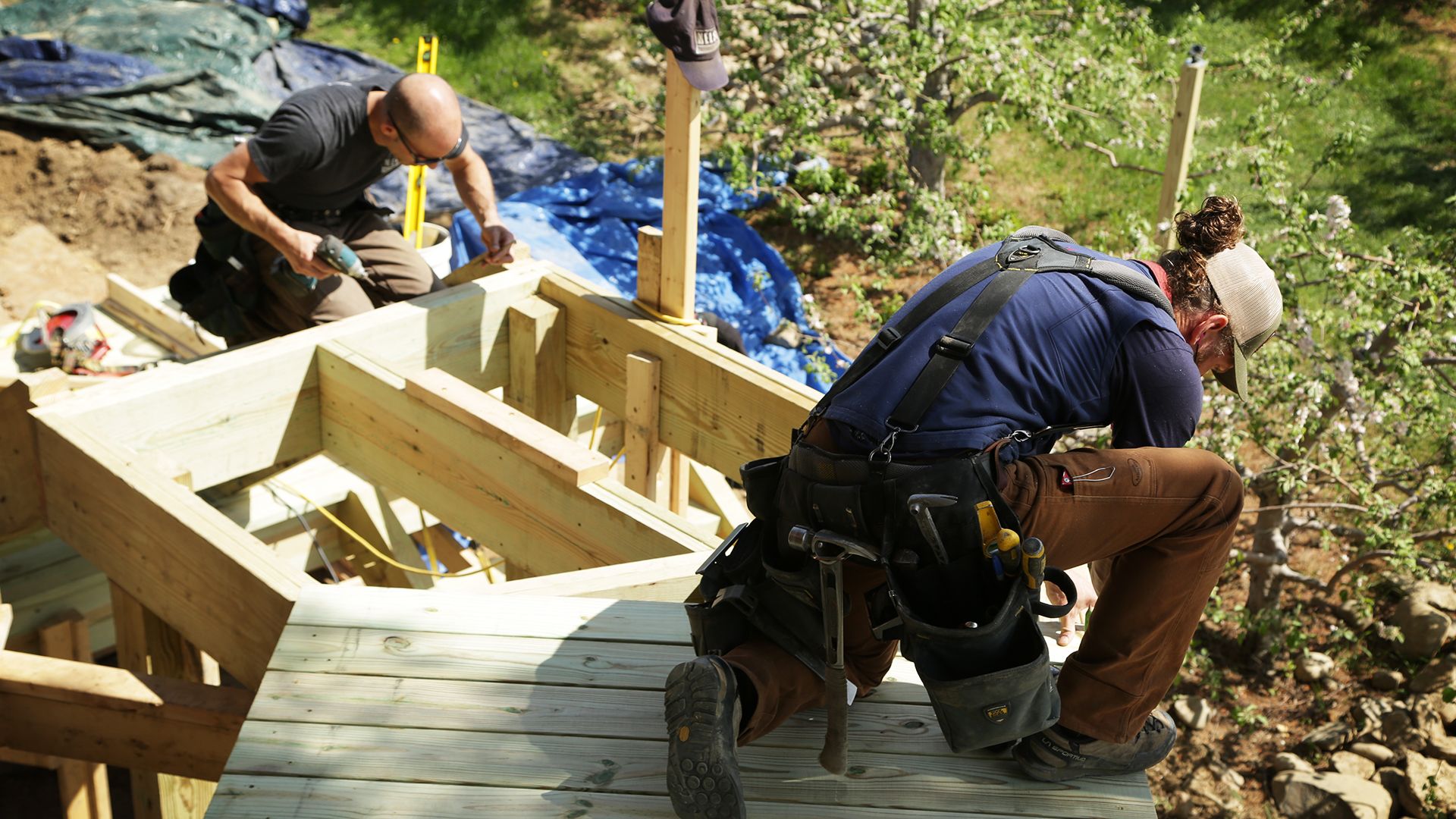 Ein Baumhaus auf der Obstplantage