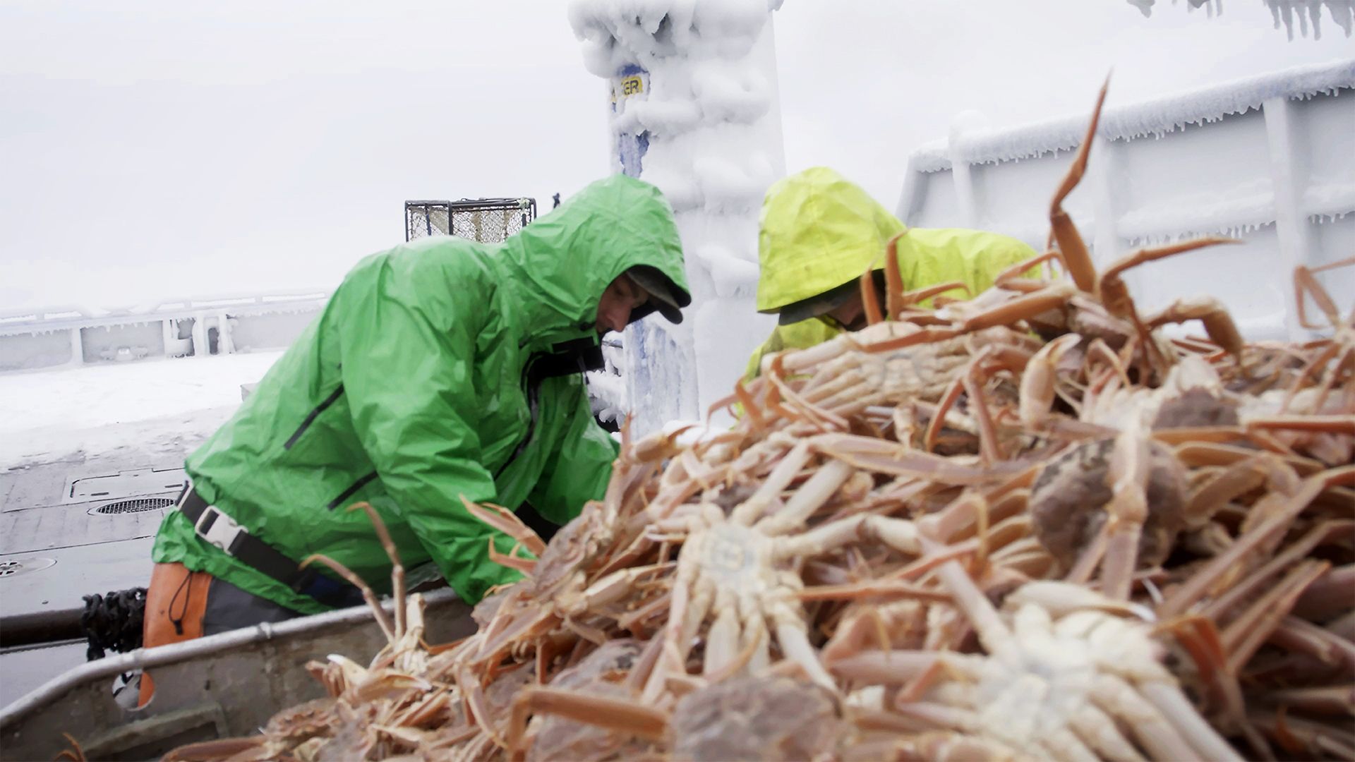 Schneller als der Shutdown