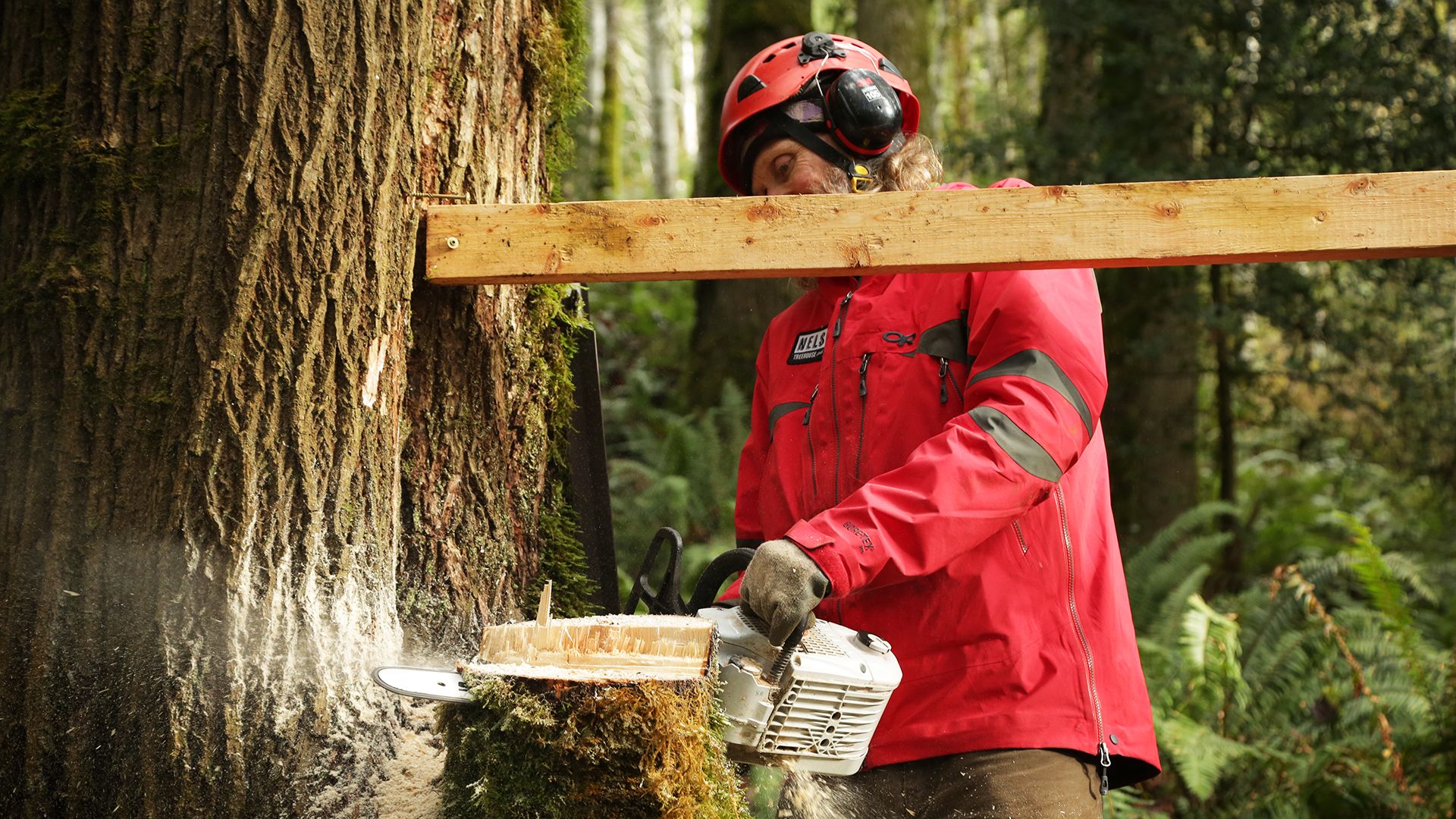 Das Hütten-Baumhaus