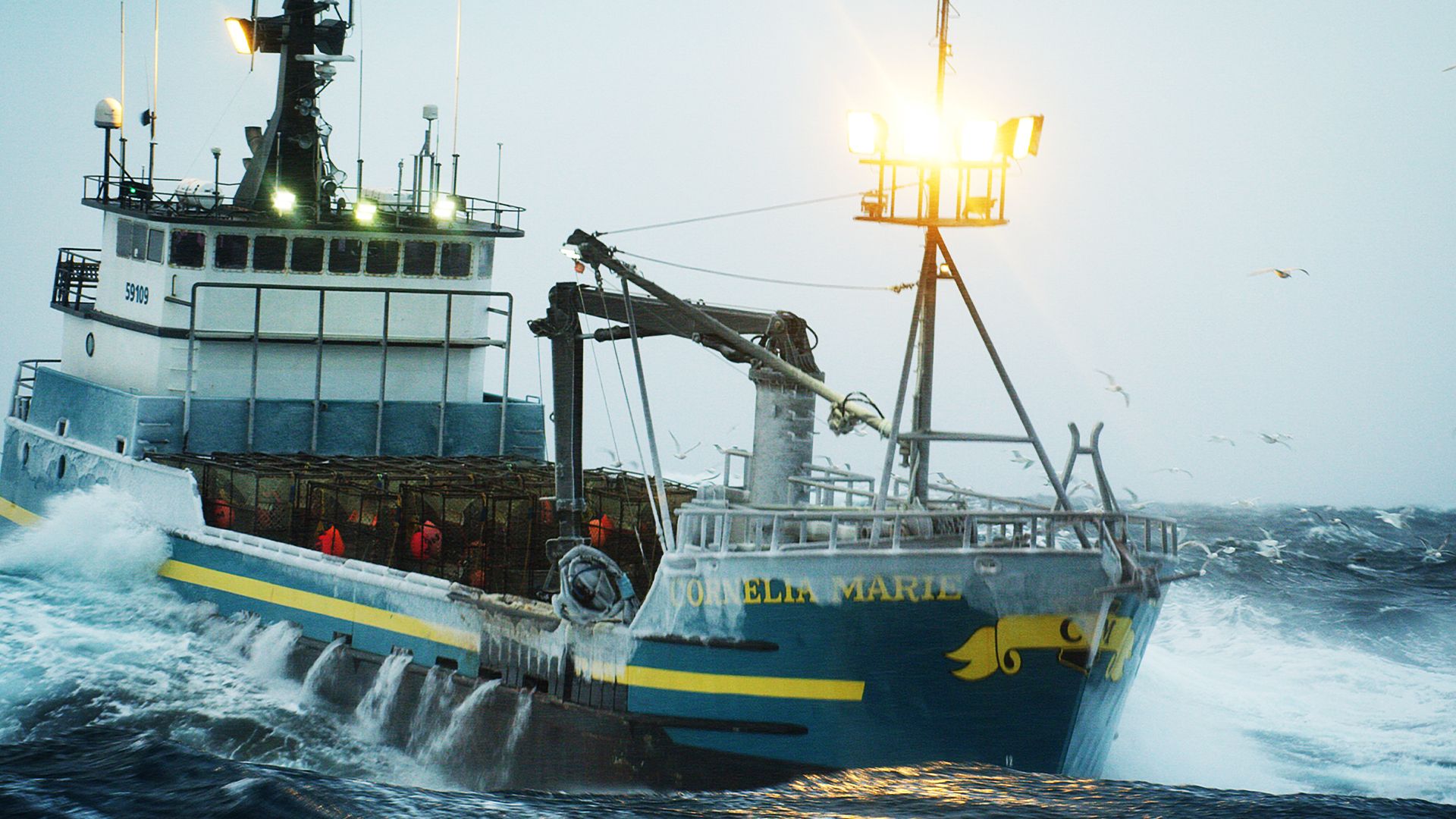 Eine Hand wäscht die andere