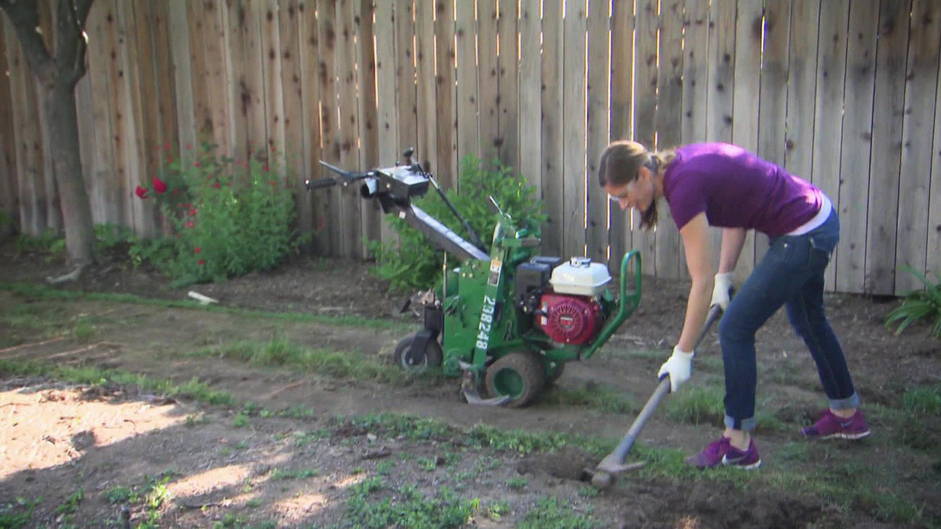Blumenmeer statt Betonkulisse