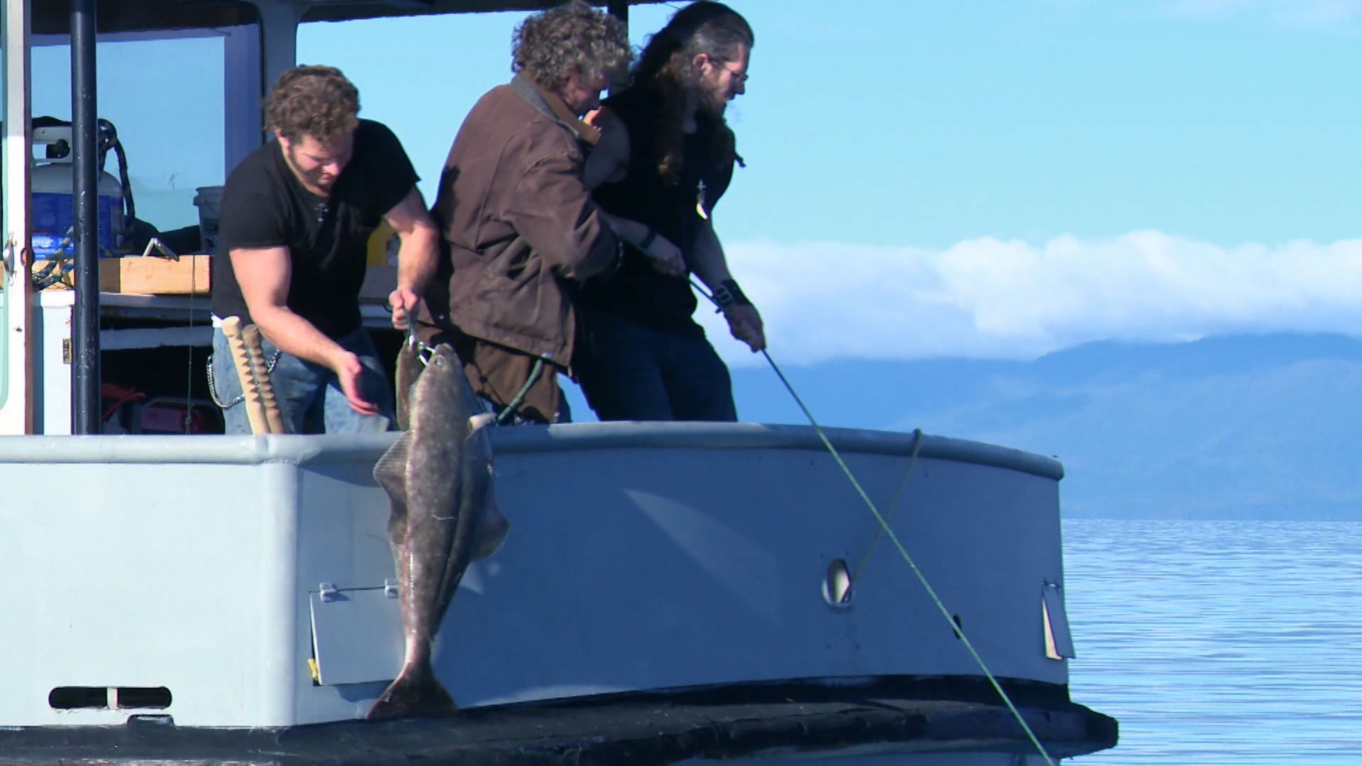 Mein Nachbar, der Bär