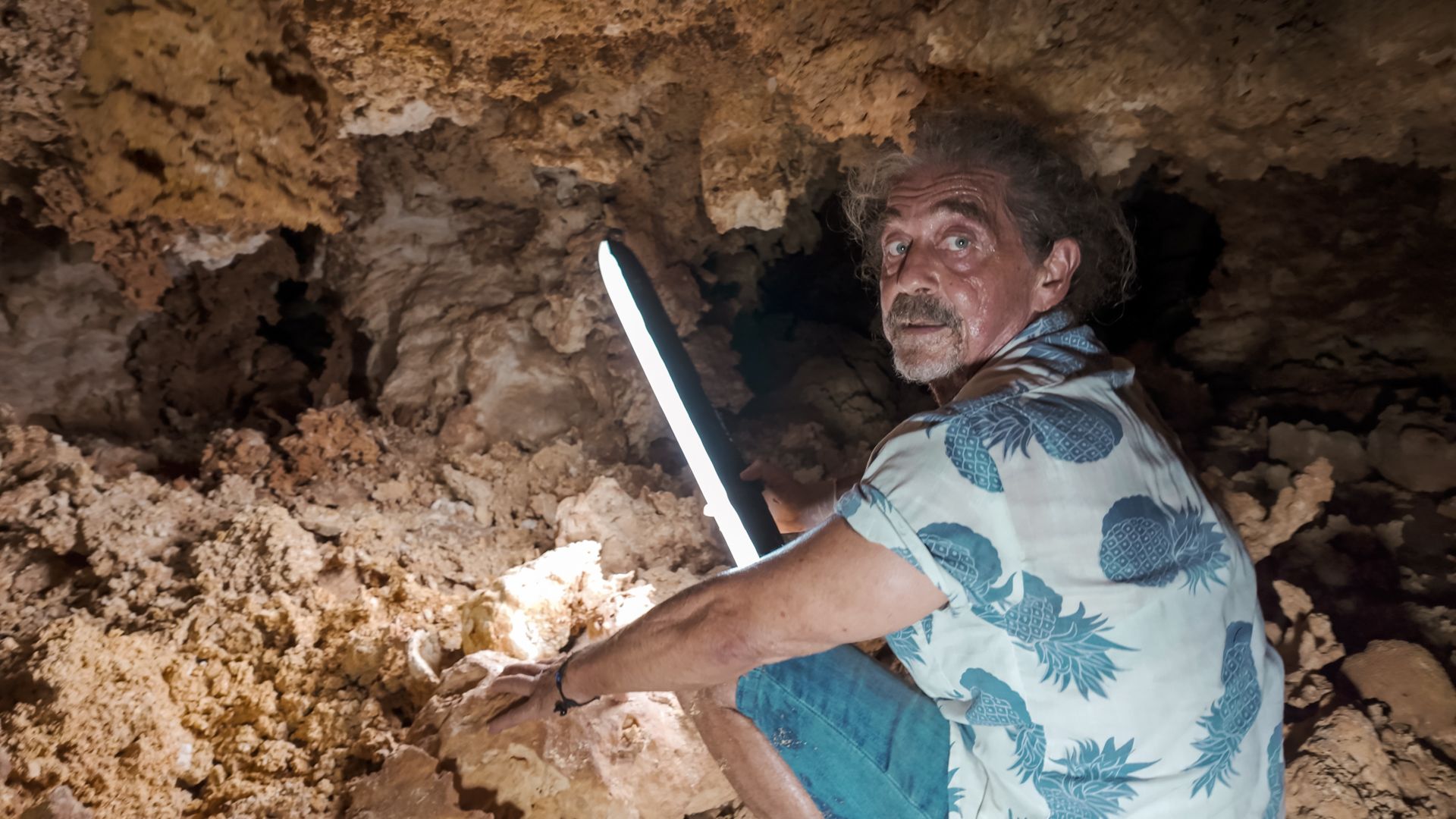 Chaos, Killerbienen und eine Höhle