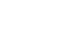 Pool Kings - Profis am Werk