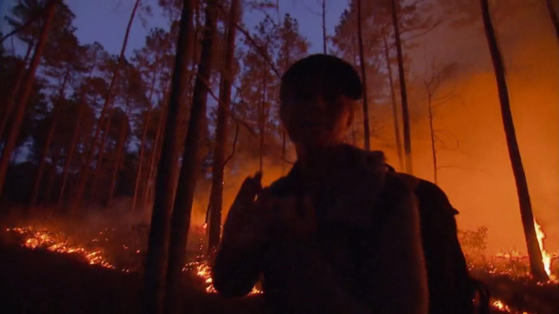 Waldbrand in Louisiana