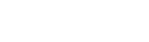 Project 'Gemini'