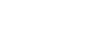 Project 'Gemini'