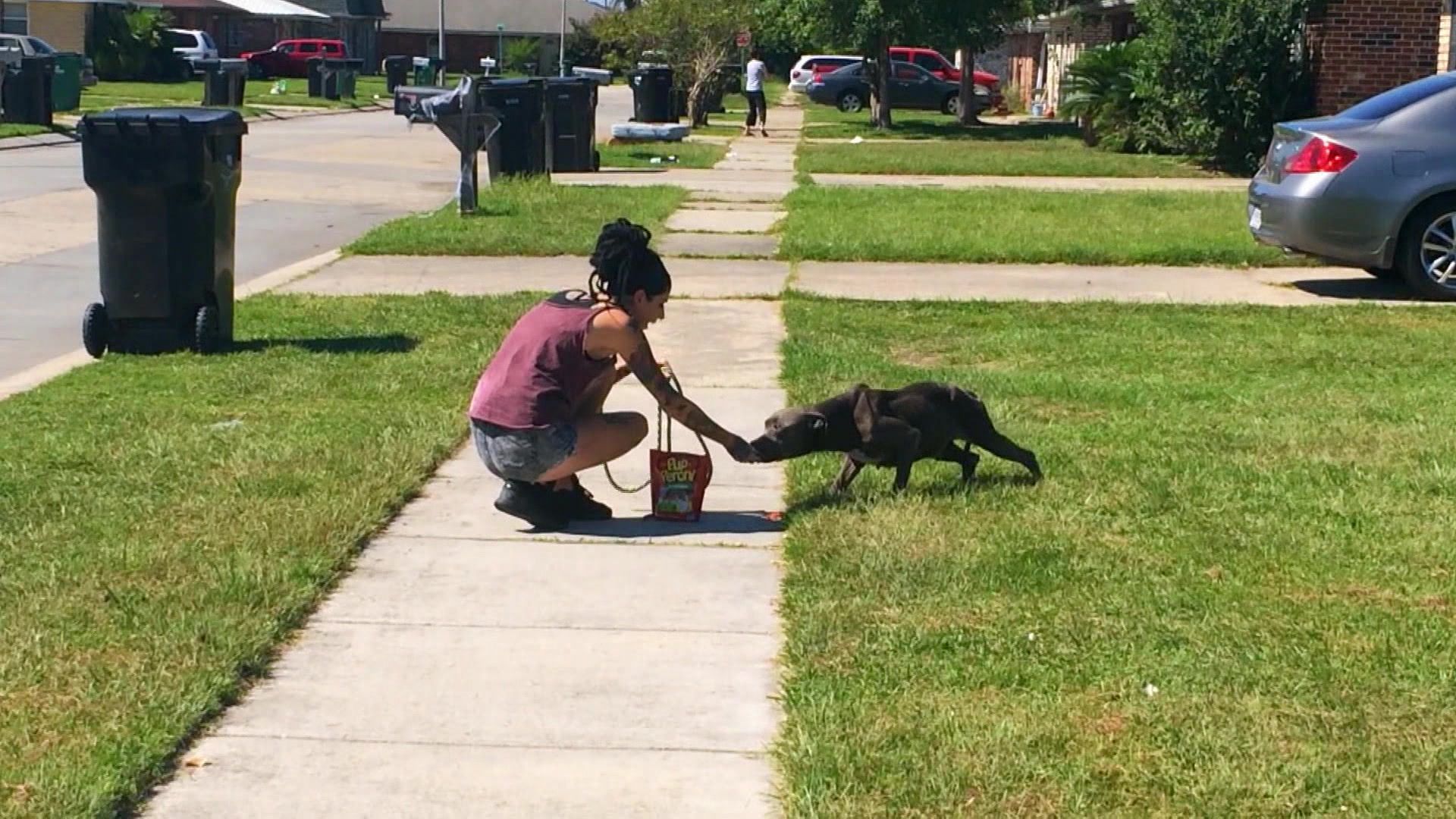 Gefahr aus dem Sumpf