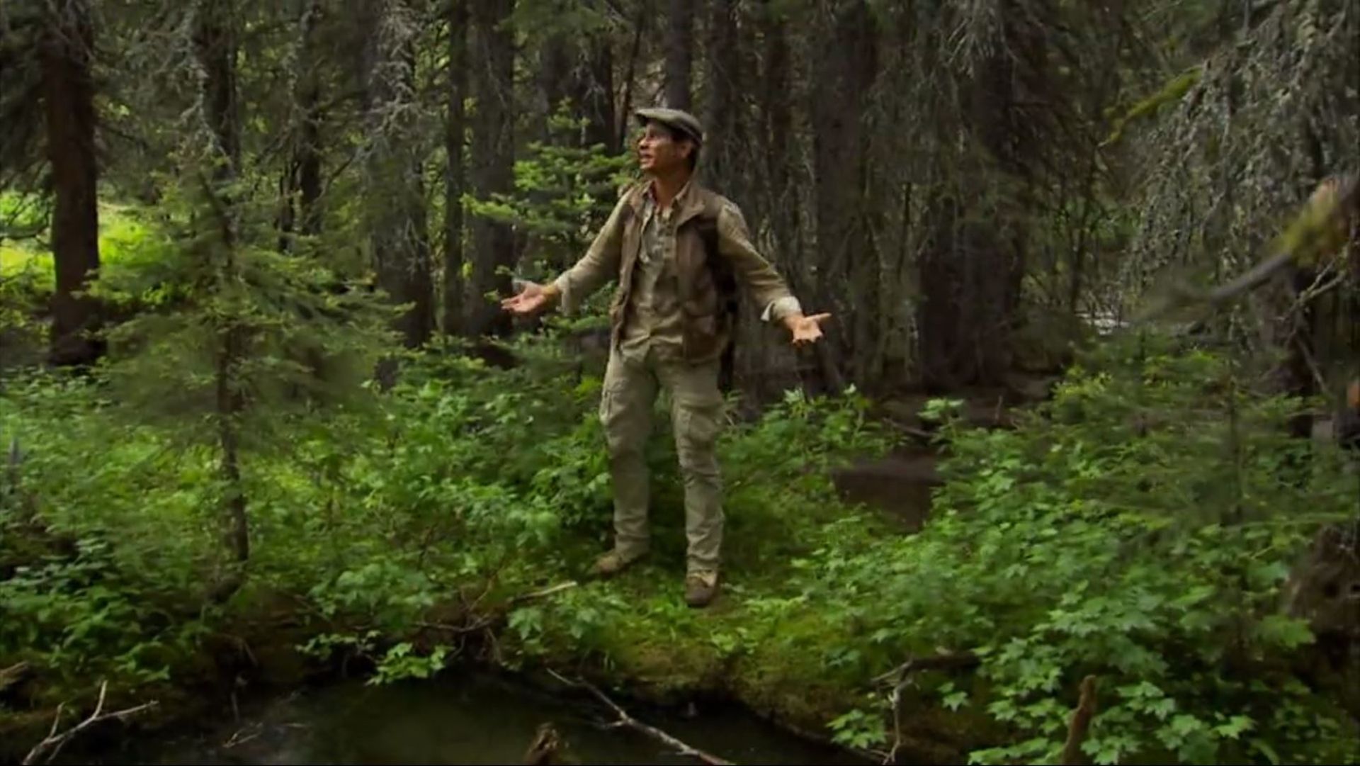 Im Gebirge von Montana