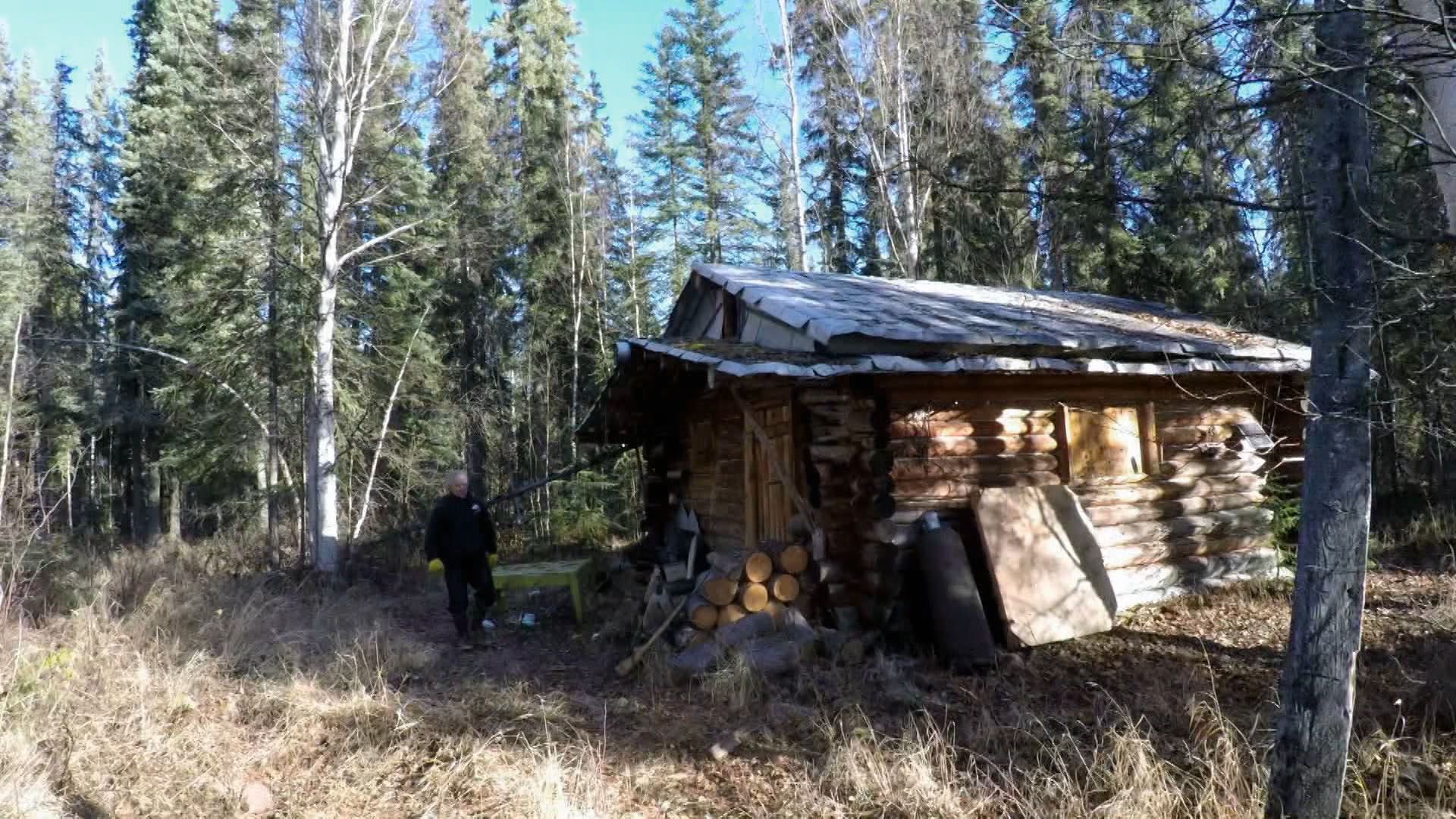 Phönix aus der Asche