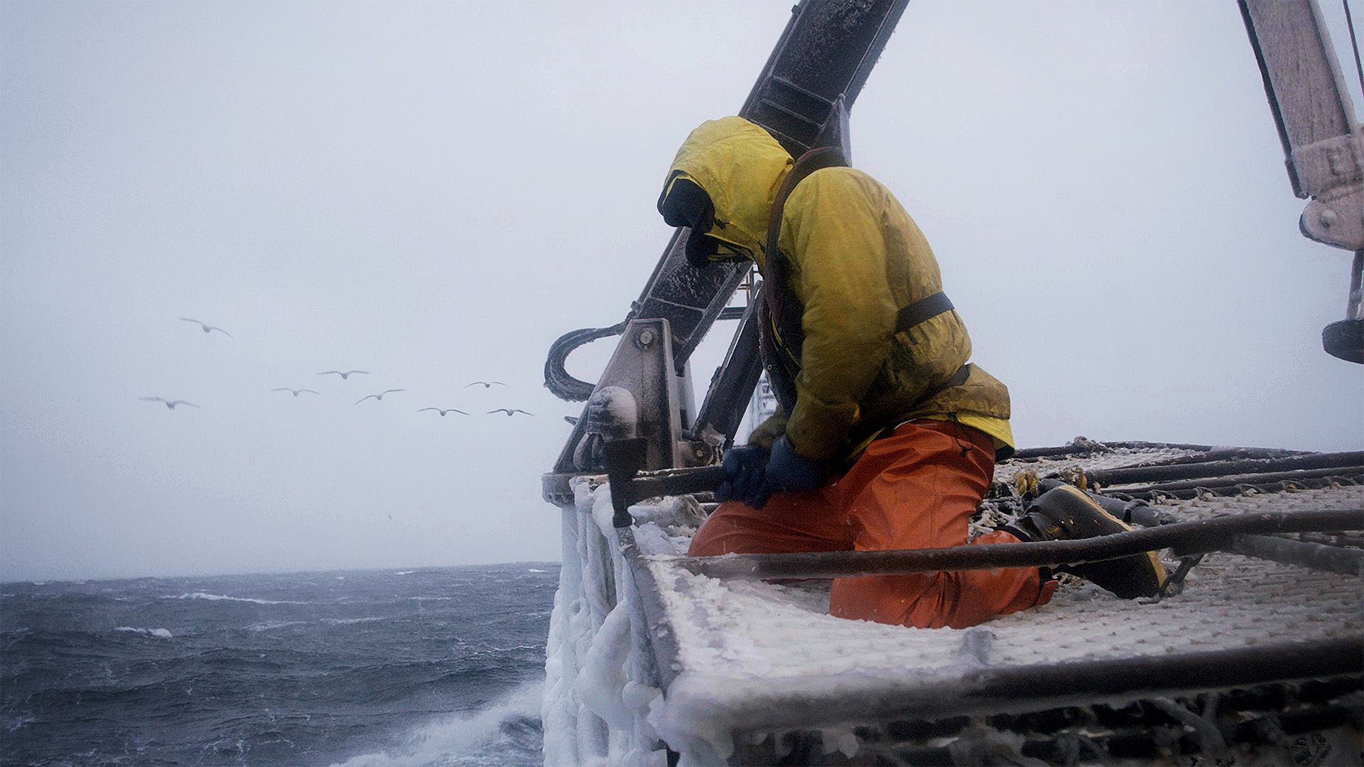 Das kleinste Schiff im Sturm
