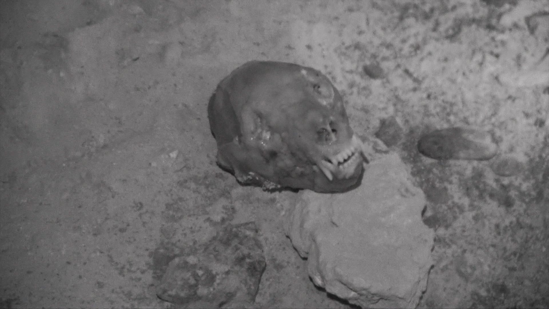 Das Höhlenmonster von Greenbrier County