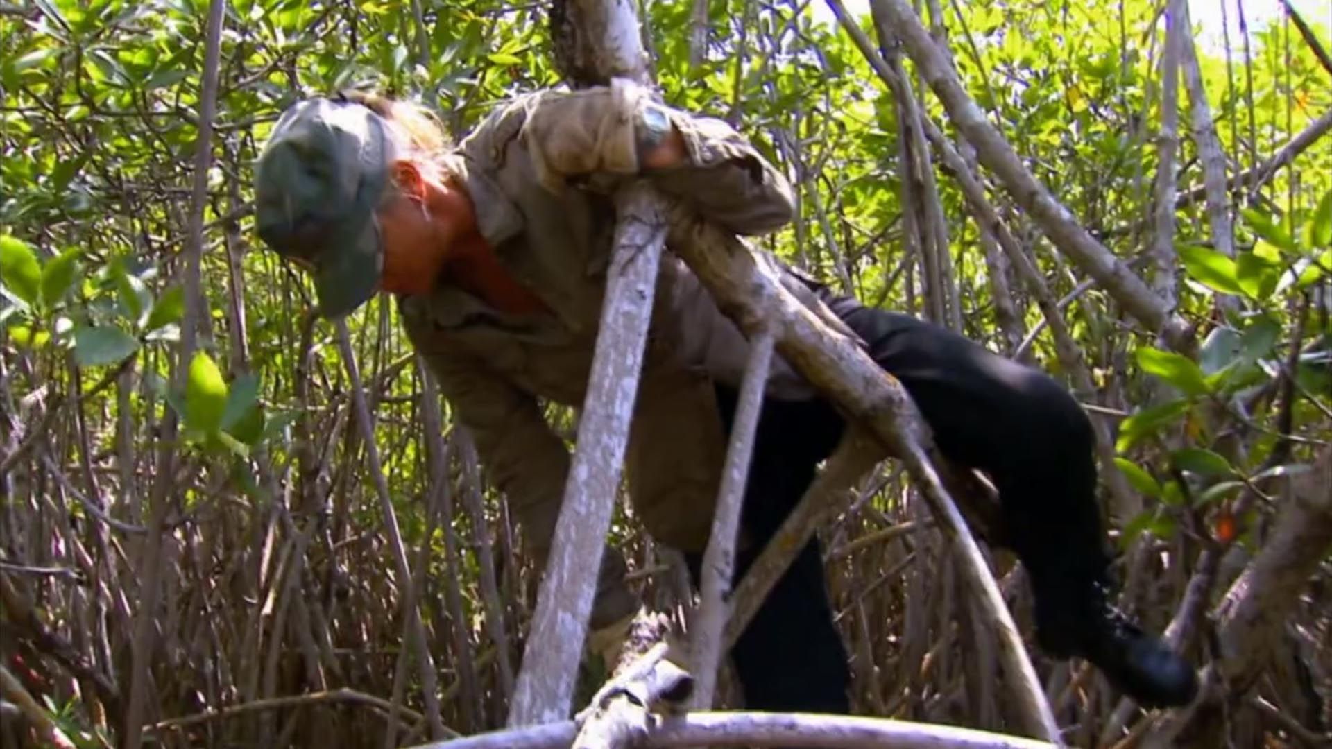 Alptraum auf den Bahamas