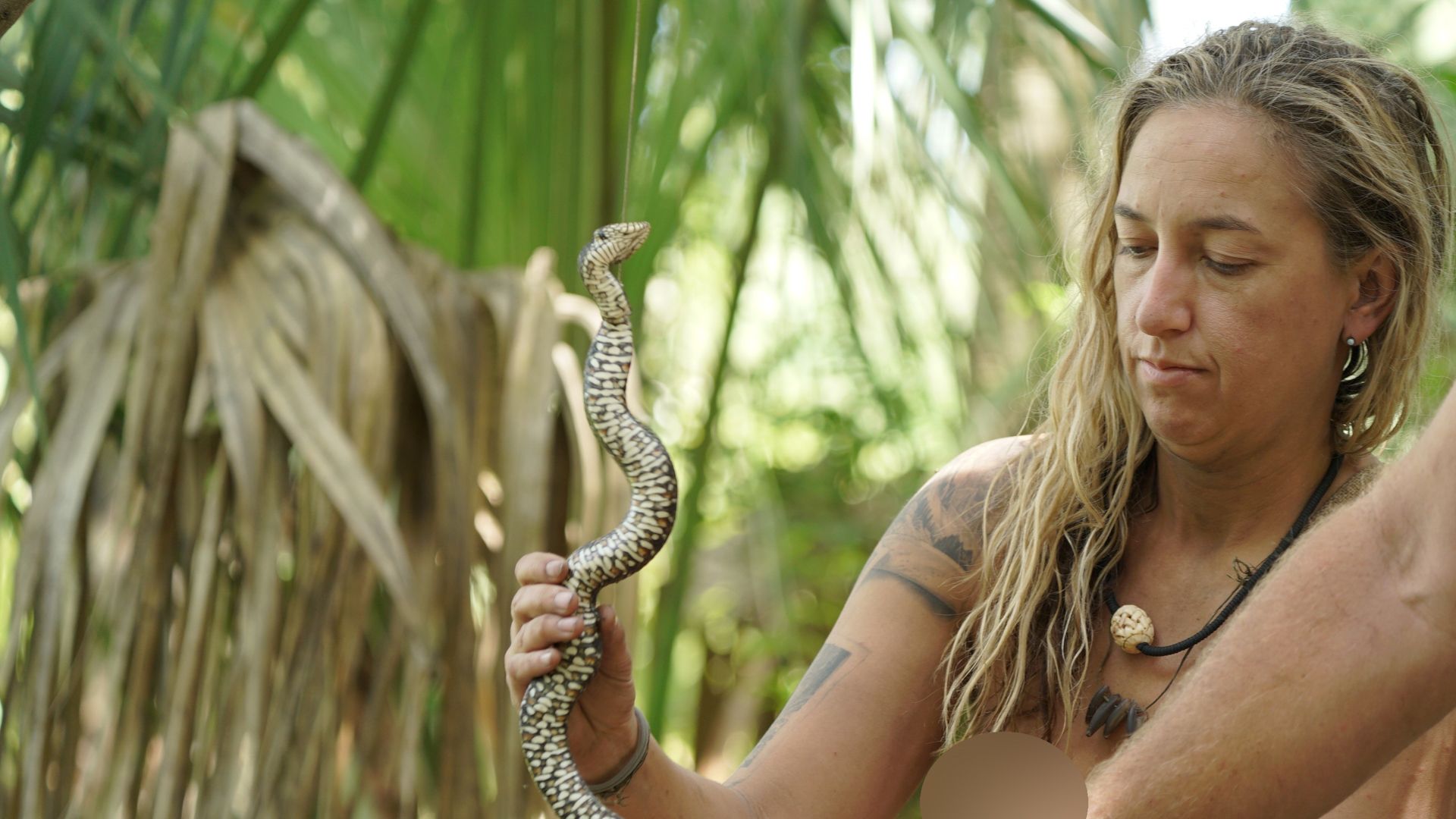 Mit dem Profi durch die Everglades