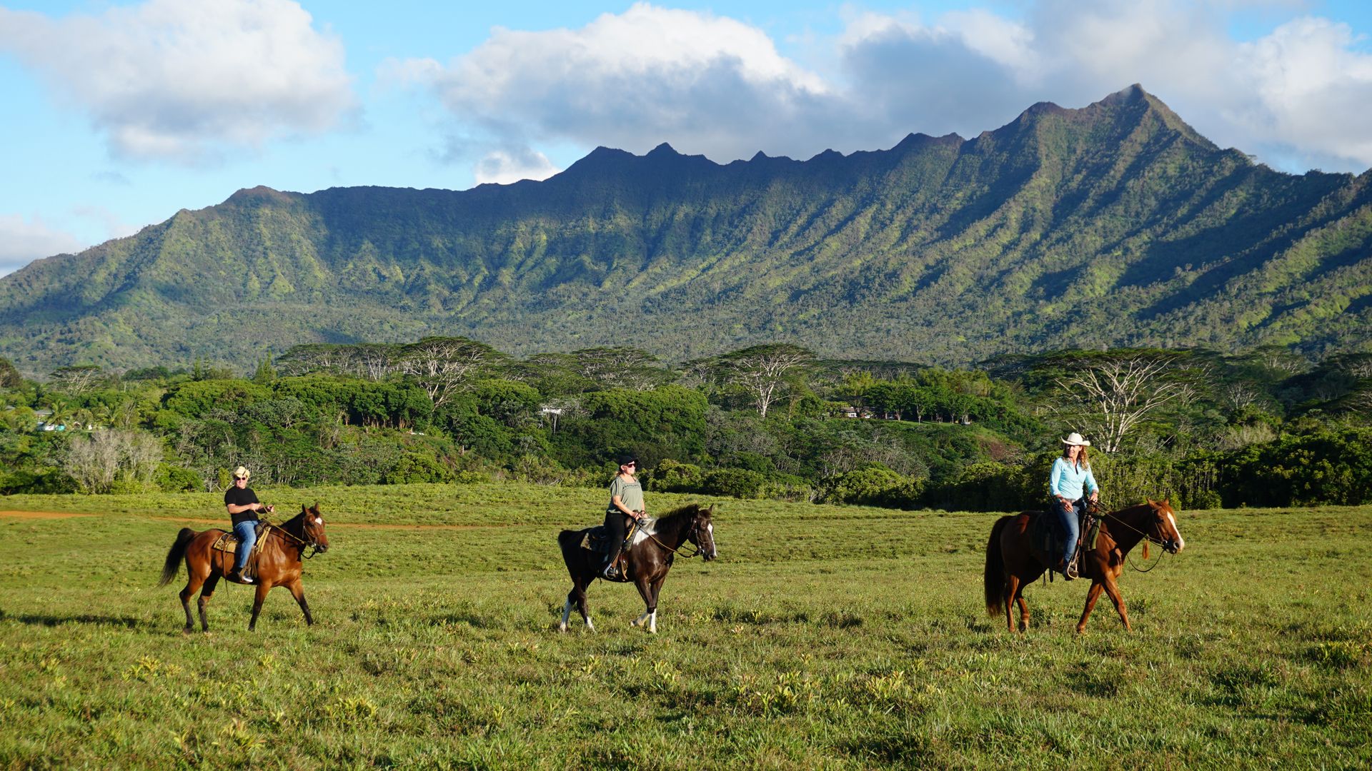 Verliebt in Kauai