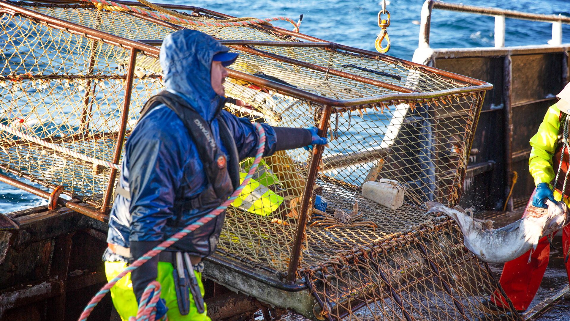 Schicksalsschlag für die Summer Bay