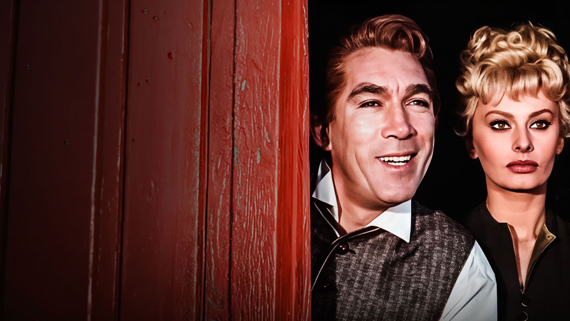 Die Dame und der Killer