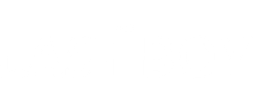 The Last Boy