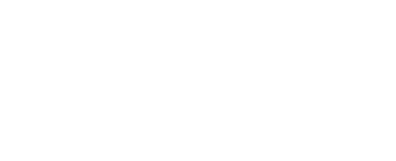 Ice Soldiers