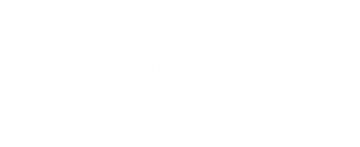 Das Geheimnis des Wilden Mustangs