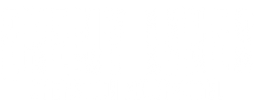 Enemy Lines - Operation Feuervogel