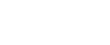 Der Sommer, als ich fliegen lernte