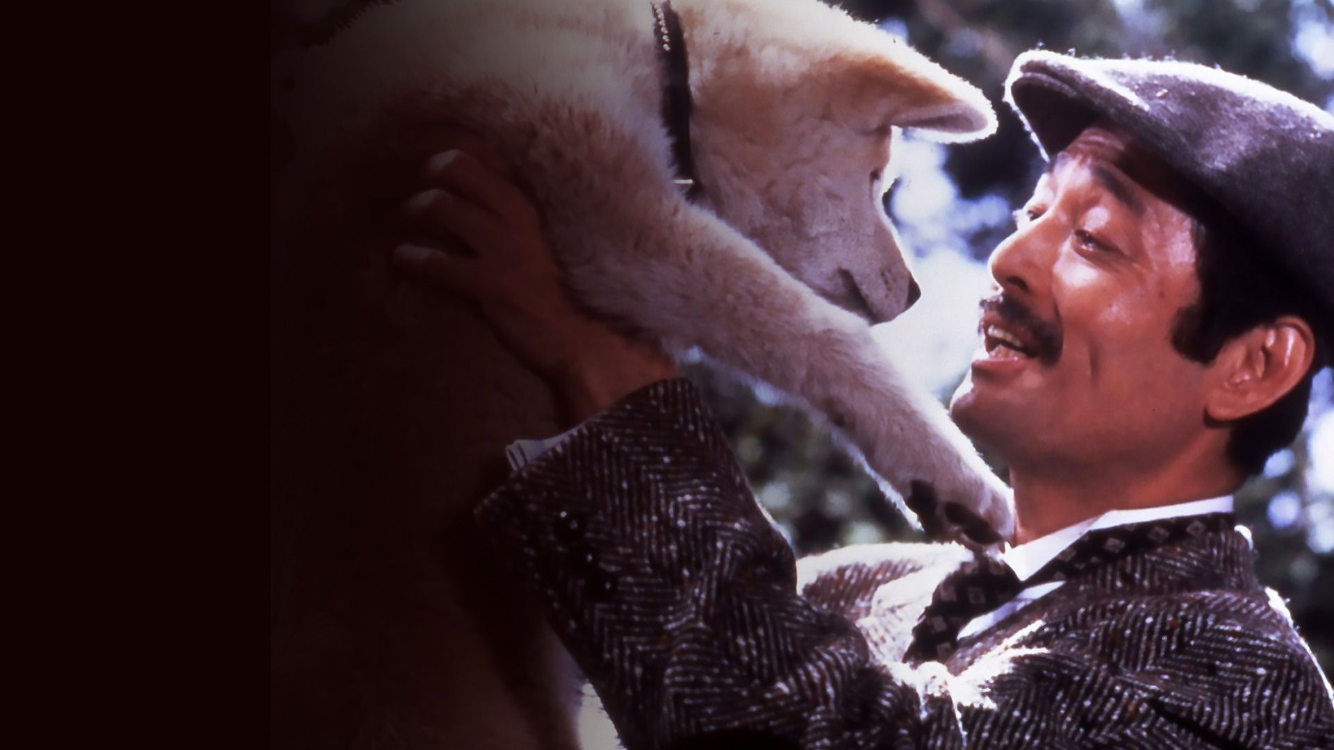 Hachiko – Wahre Freundschaft währt ewig