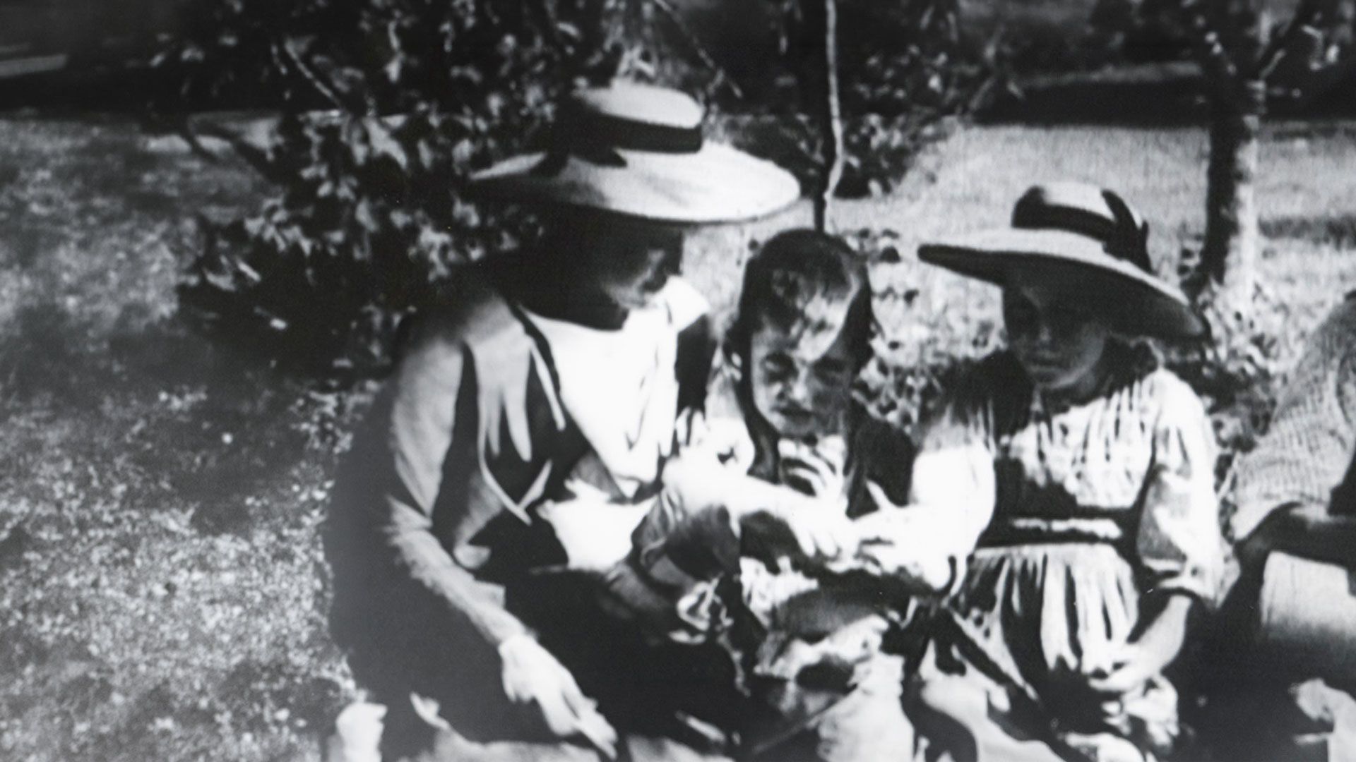 Hohenzollern 1850 bis 1952