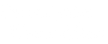Eine einzigartige Weihnachtsblume