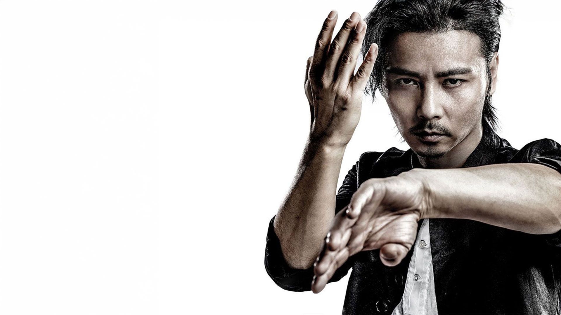 Master Z – The Ip Man Legacy