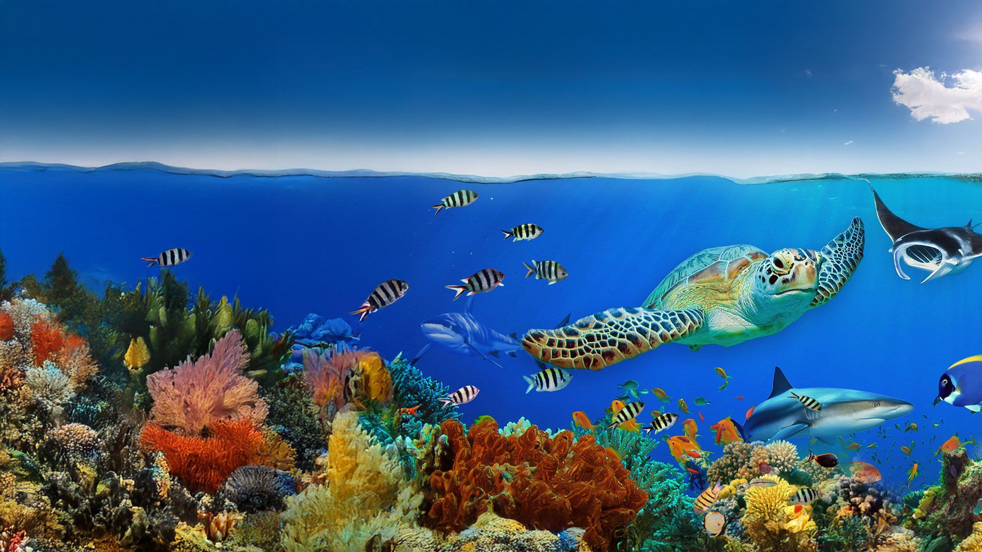 Great Barrier Reef