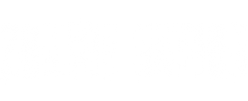 Zombie Nation