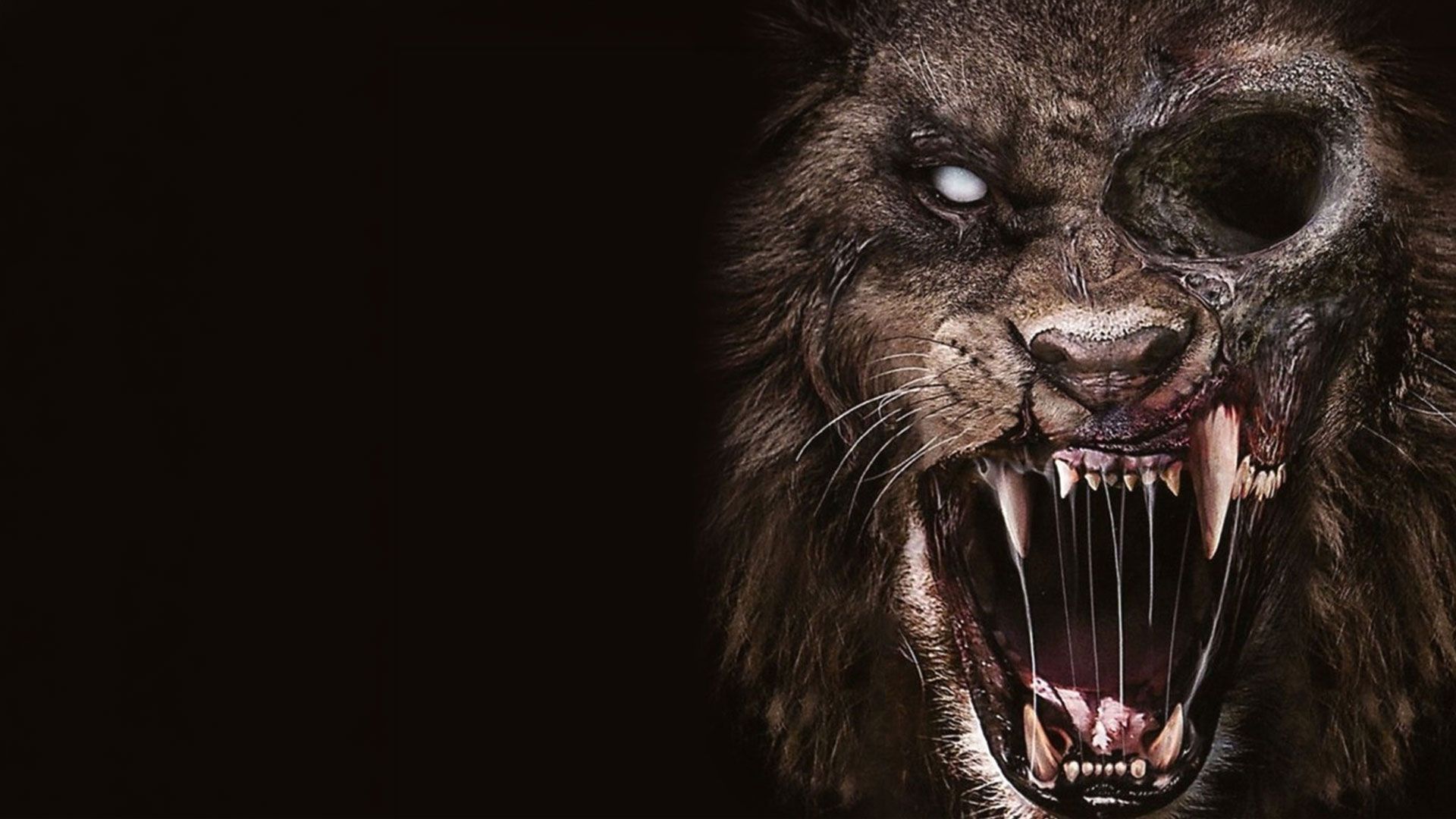 Zoombies – Der Tag der Tiere ist da!