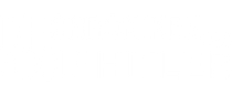 Die Chroniken des Adolf Hitler