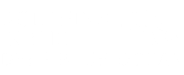 Dolphins in the Deep Blue Ocean
