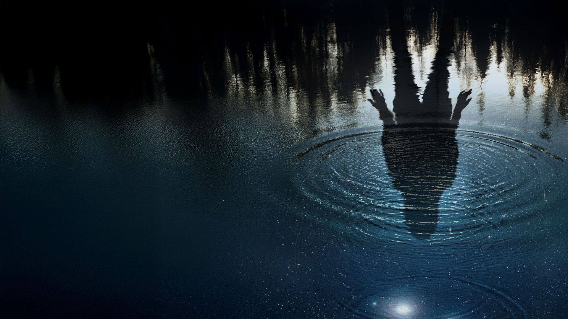 First Light - Die Auserwählte