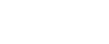 Silent House