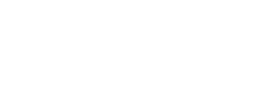 Switch – Die Frau im Manne