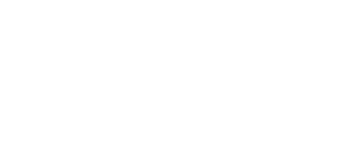 Ein Weihnachtsspaß auf vier Pfoten