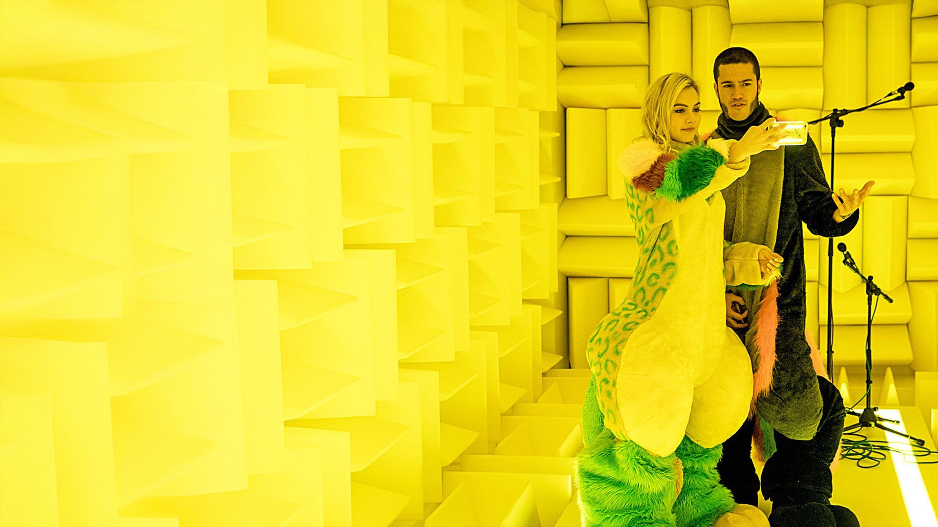 Feedback - Sende oder stirb