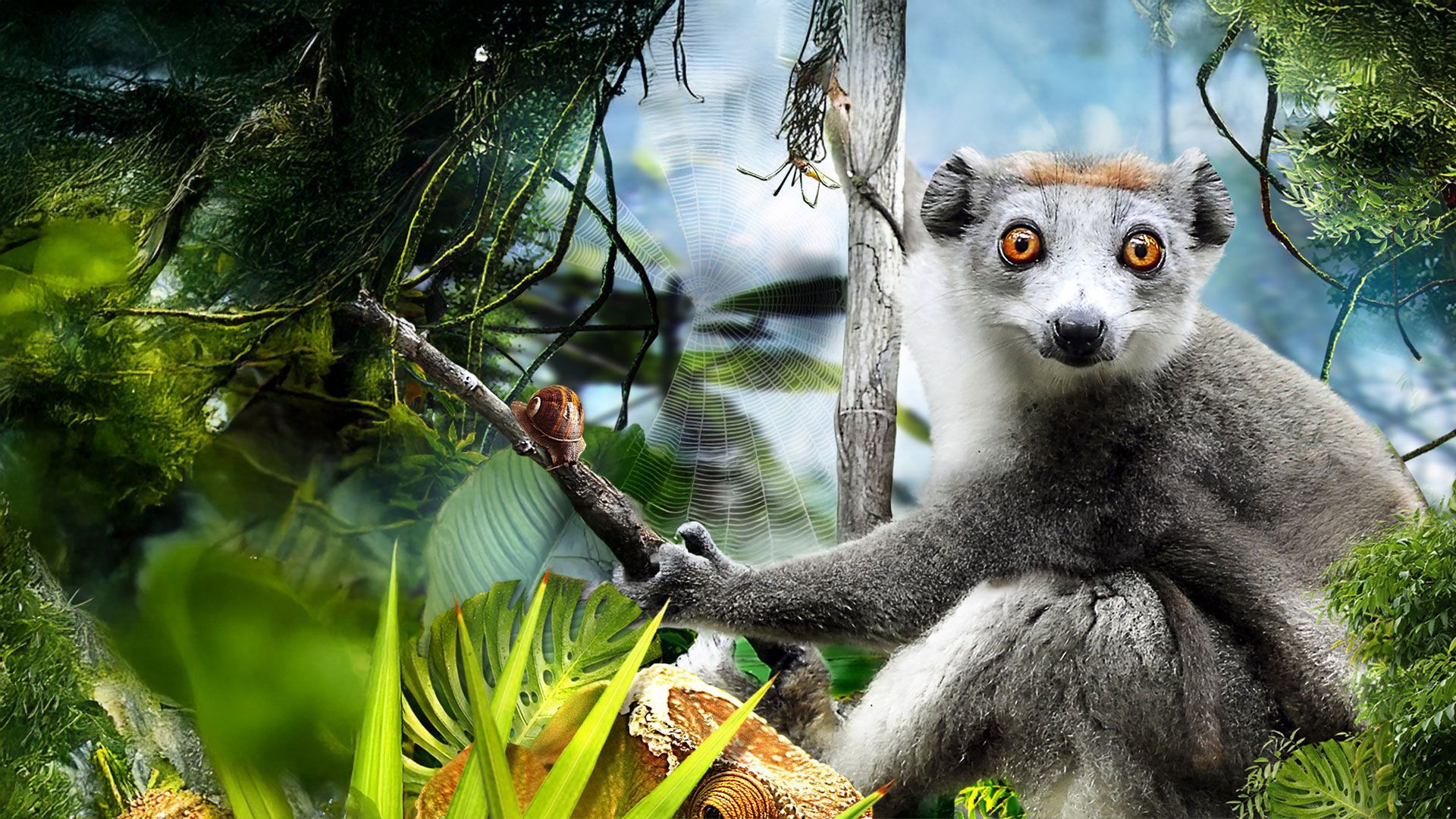Madagascar