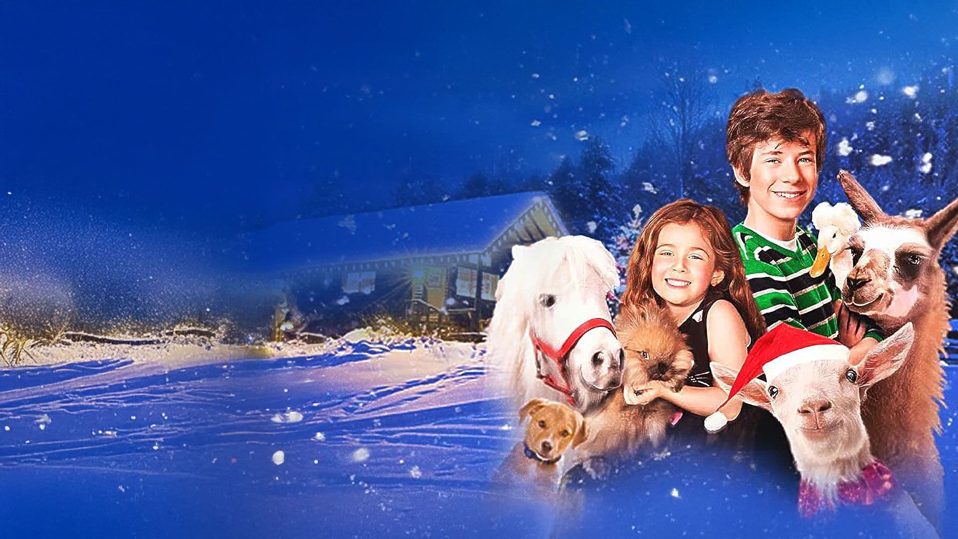 Eine tierische Weihnachtsgeschichte