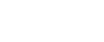 Der Skarabäus-Code