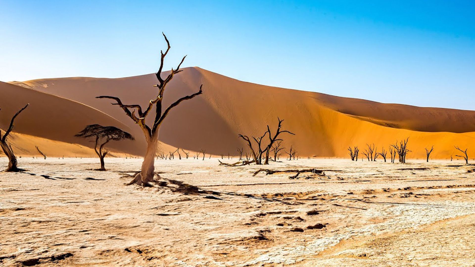 Fazination Namibia - Die Challenge