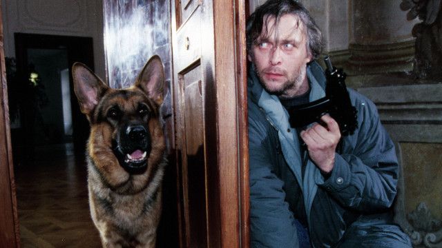 Kult-Serie "Kommissar Rex" (5/14): Tanz auf dem Vulkan