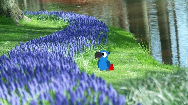 StoryZoo Abenteuer: Abenteuer im Blumenpark - Traubenhyazinthe