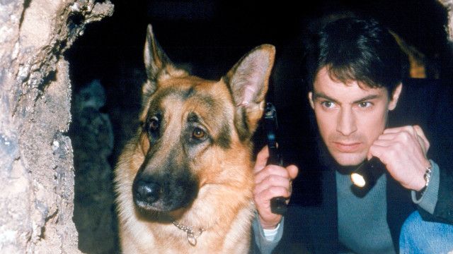 Kult-Serie "Kommissar Rex" (2/15): Ein Toter kehrt zurück