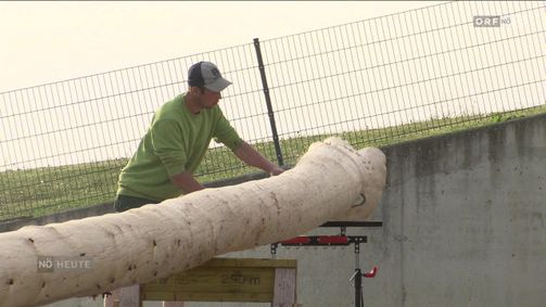 Niederösterreich heute Niederösterreich heute Folge 1103: Niederösterreich heute vom 30.04.2026