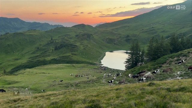 Vorarlberg heute vom 04.08.2026